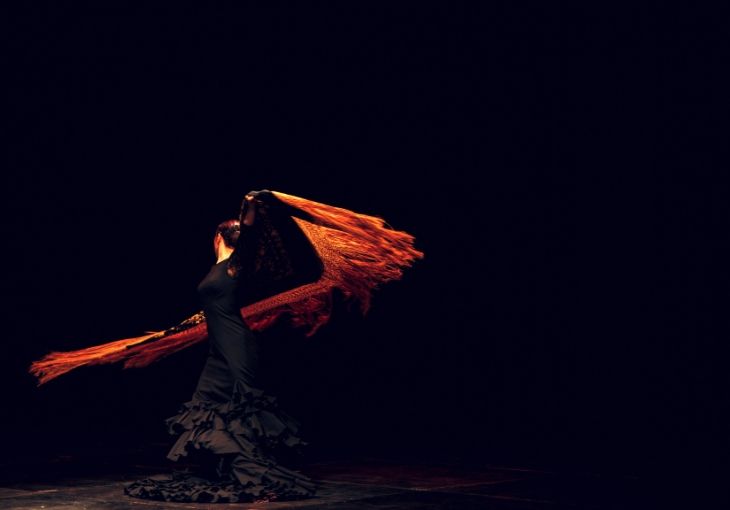 Imagen principal del artículo El fandango: raíz y diversidad en el flamenco